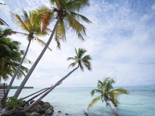 Coco Beach Marie-Galante Grand-Bourg  외부 사진